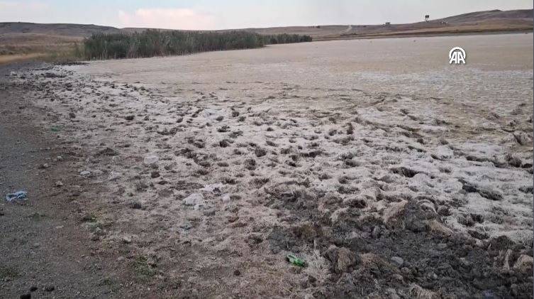 Konya'daki Uyuz Gölü kurudu! Göçmen kuşların uğrak yeriydi 23